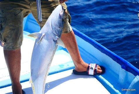 friendly fishing|Sustainable Fishing Practices: How To Fish Responsibly.